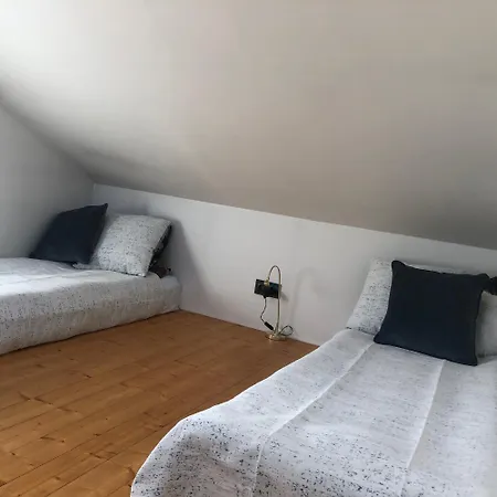 Aavik *